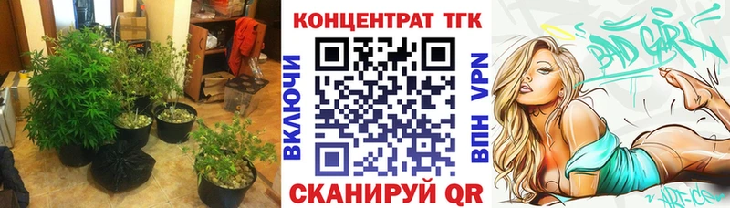 где можно купить наркотик  Камбарка  Дистиллят ТГК Wax 