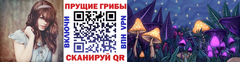 Псилоцибиновые грибы Magic Shrooms  блэк спрут зеркало  Камбарка 